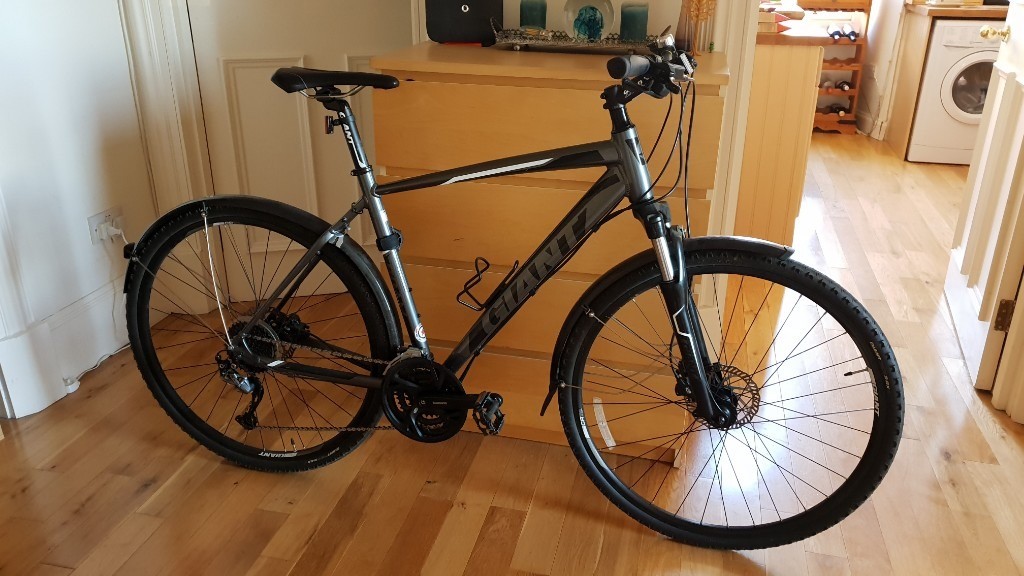 roam 2 disc 2020